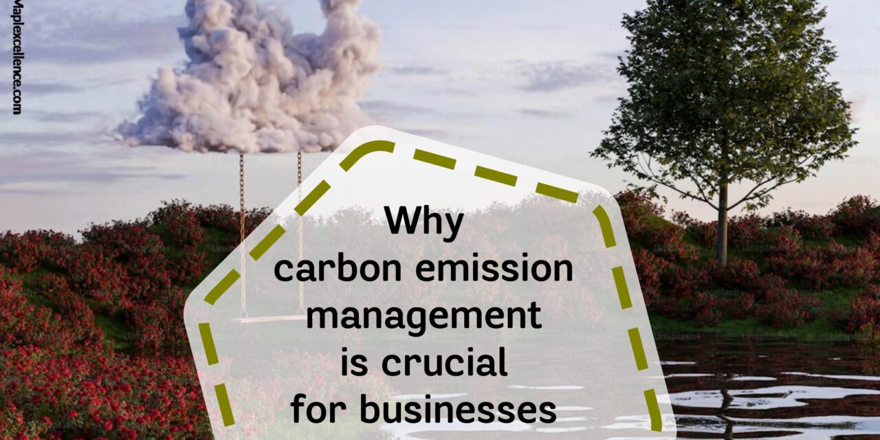 Why carbon emission management is crucial for businesses and the planet